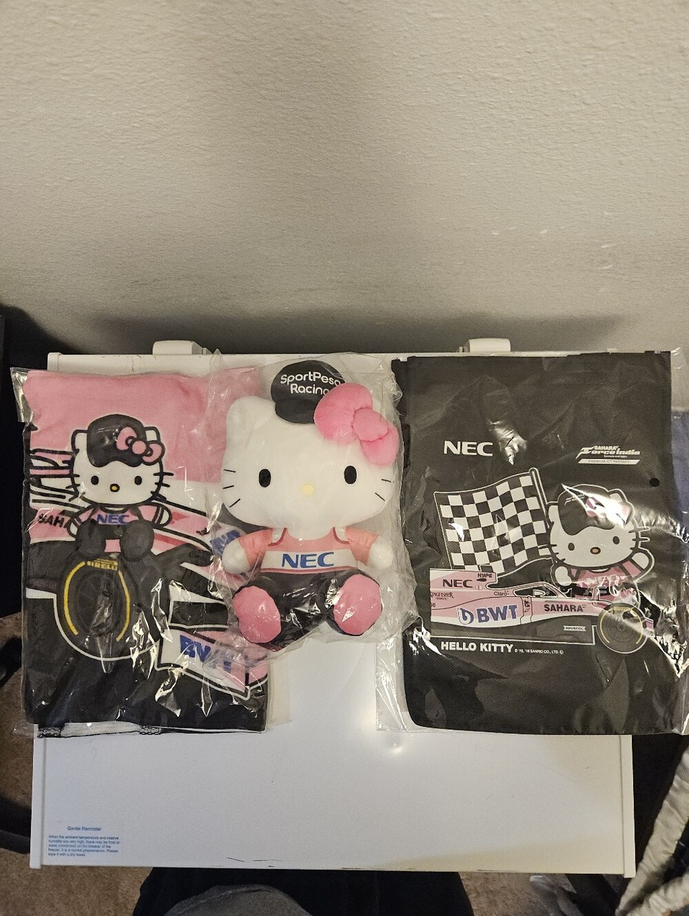Hello Kitty Kids Racing Plush, Towel, and Bag